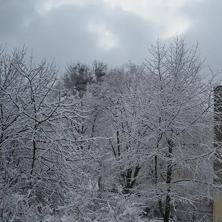 Sunny In The Center Of Апартаменты