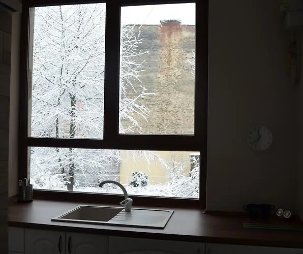 Sunny In The Center Of Апартаменты Львов