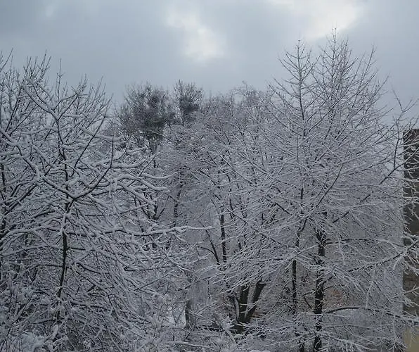 Sunny In The Center Of 公寓